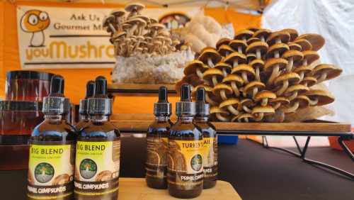 Healthmarkets Insurance Medciare